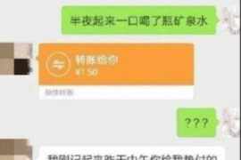 镇巴融资清欠服务